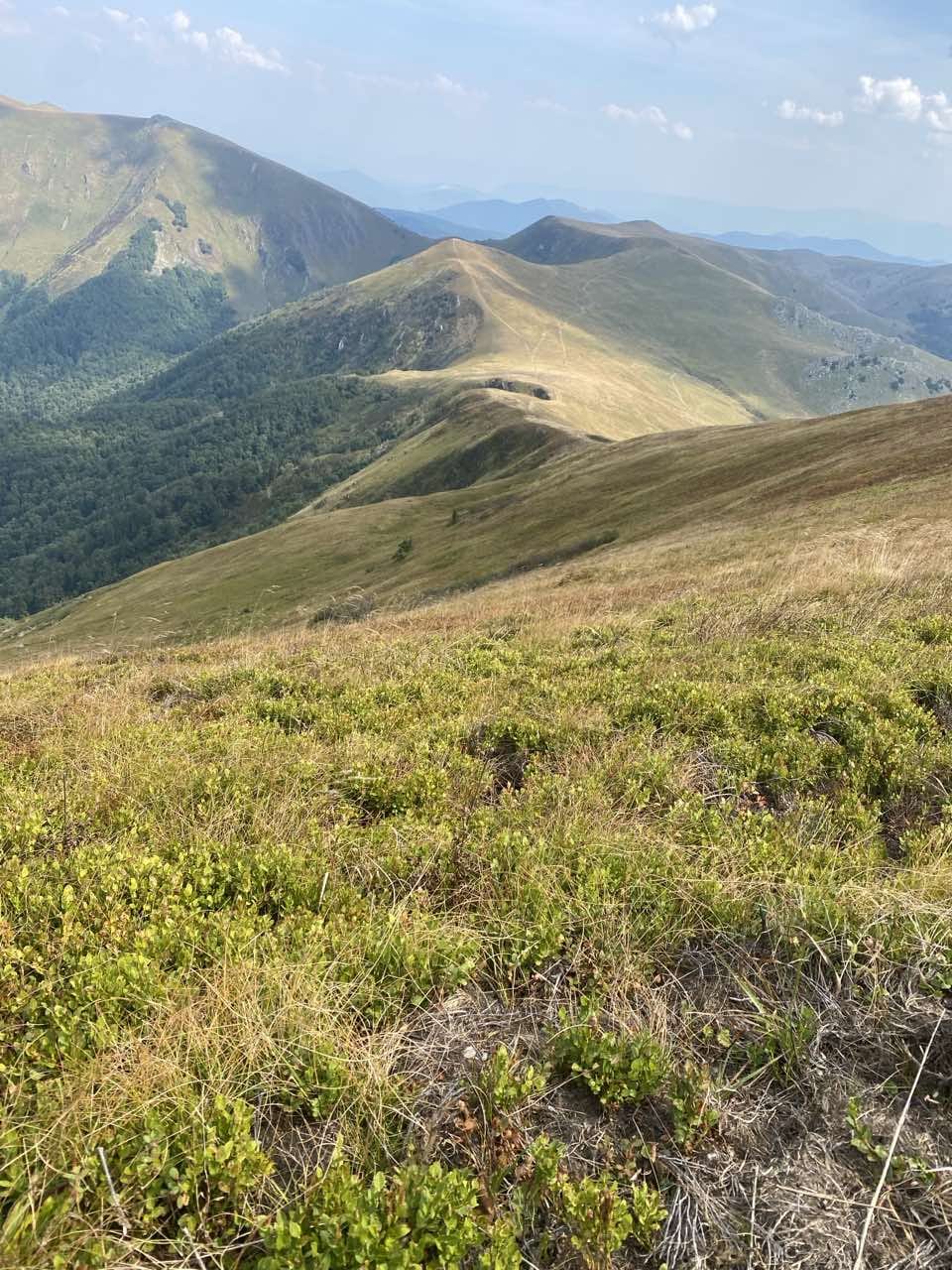 Rider crossing mountain stream